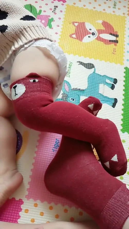 這個襪子買的值